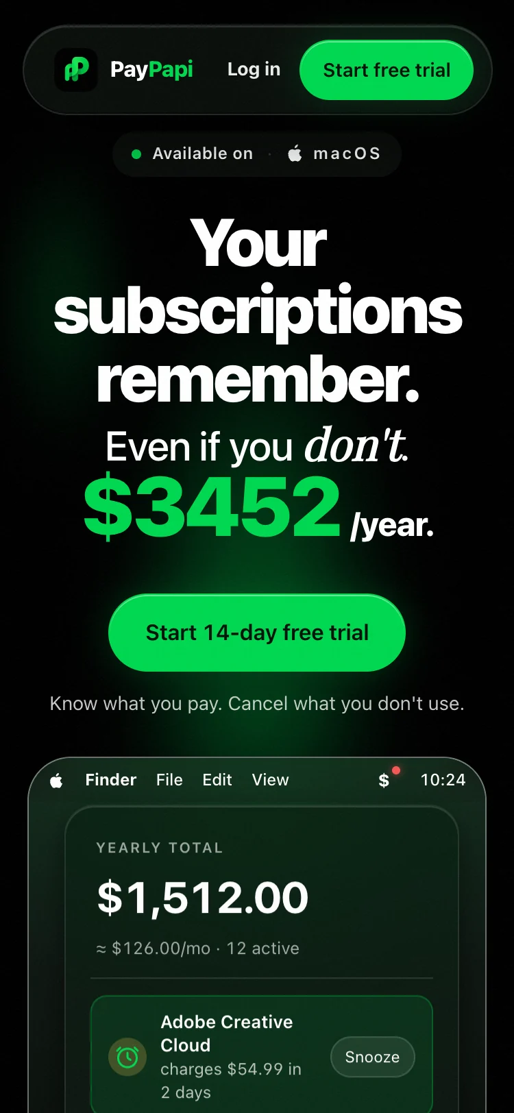 PayPapi website on a phone