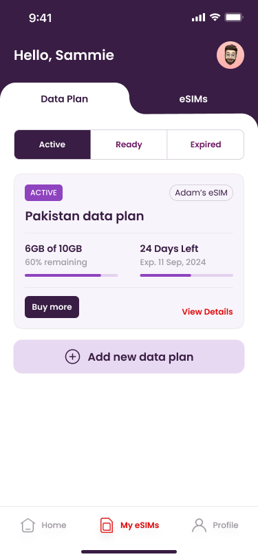 My eSIMs — active data plan with usage